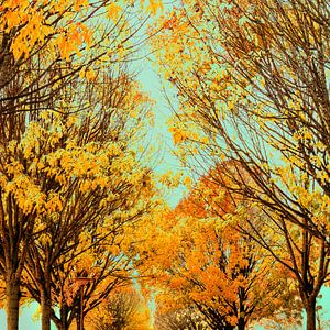 Herbst in malerischer Stimmung.