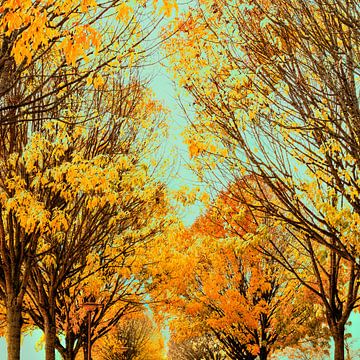 Autumn in picturesque mood.