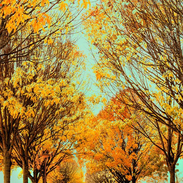 L'automne dans une ambiance pittoresque. par Alie Ekkelenkamp