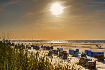 Verlangen naar de zee