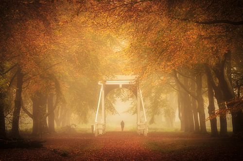 Bridge in the autumn forest near Ennemaborg in Midwolda, Groningen