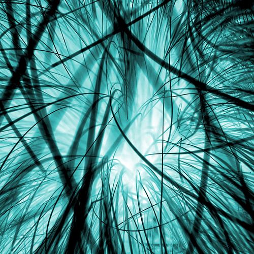 Interwoven blades of grass in a different light - blue