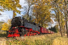 herfst in de Harz met HSB 99 222 van Marcel Timmer