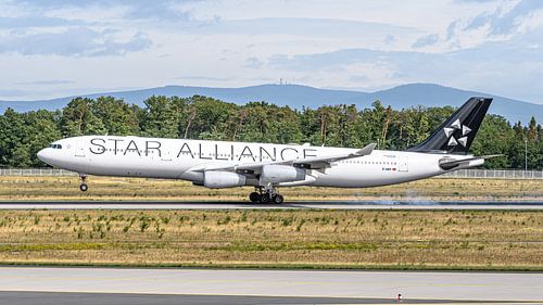 Lufthansa Airbus A340-300 in Star Alliance livery.