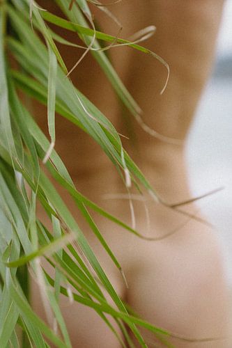 Impression photo naturelle palmier &amp ; femme sur sonja koning