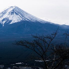 Mount Fuji von mr. Stam