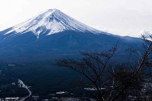 Mount Fuji