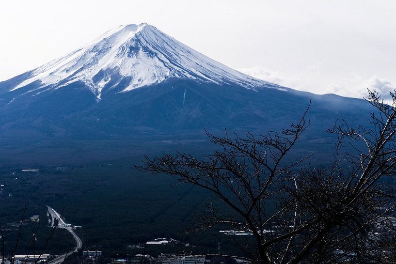 Mount Fuji par mr. Stam