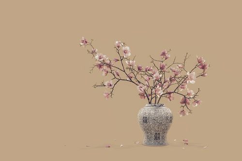 Olala Magnolia Delight