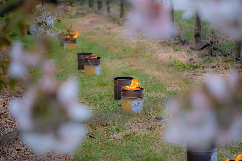 Vuurpotten tussen de fruitbomen by Moetwil en van Dijk - Fotografie