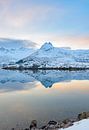 Sonnenuntergang über einem ruhigen Husvagen See im Lofoten in Norwegen im Winter von Sjoerd van der Wal Fotografie Miniaturansicht