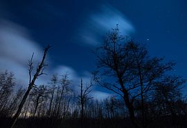 Nuages flottants dans la nuit.