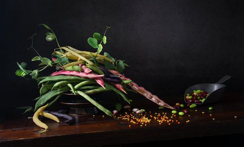 Bonen Stilleven