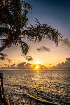 Zonsopgang over de zee met palmboom in Kenia Afrika van Fotos by Jan Wehnert