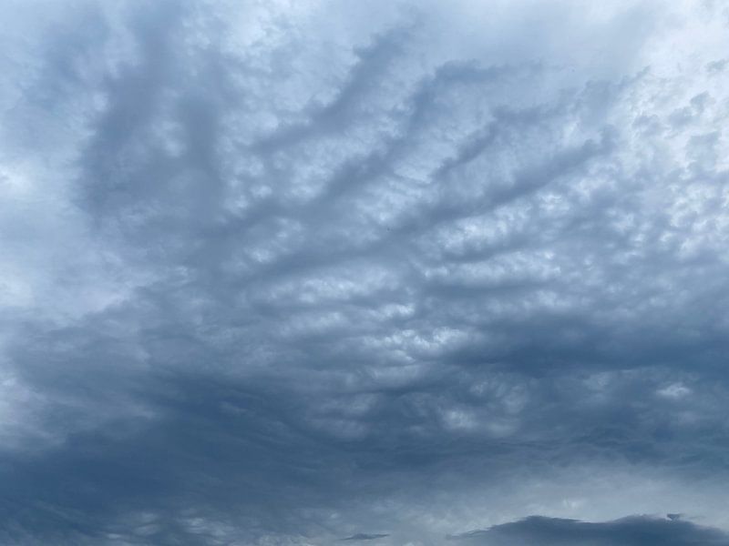 Cloud cover by Emma Van Leur
