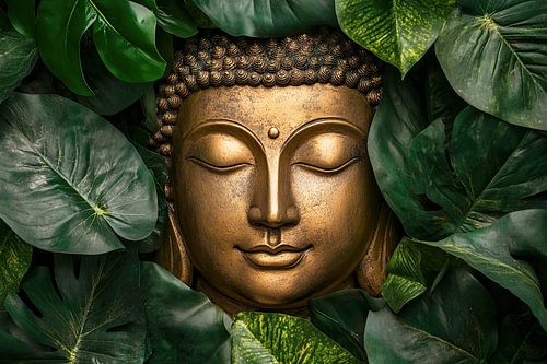 Verborgen Boeddha tussen het blad