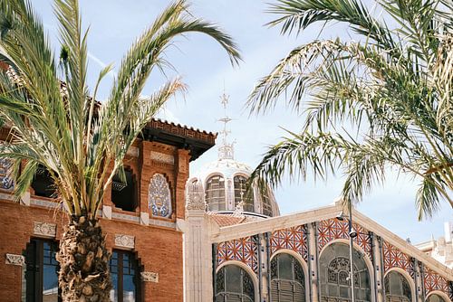 Mercat Central de Valencia tussen de palmbomen // Spanje // Reis- en Straatfotografie