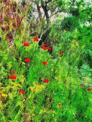 Wilde bloemen aan de rand van het bos