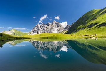 Eissee und Grosser Wilder von Walter G. Allgöwer