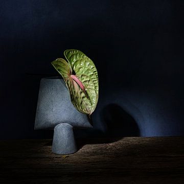 Modern Zen   stilleven met Anthurium  . van Saskia Dingemans Awarded Photographer