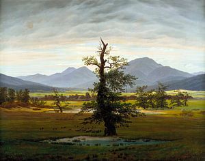 Caspar David Friedrich - Der einsame Baum