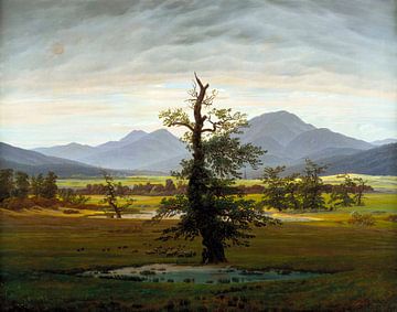 Caspar David Friedrich - De eenzame boom