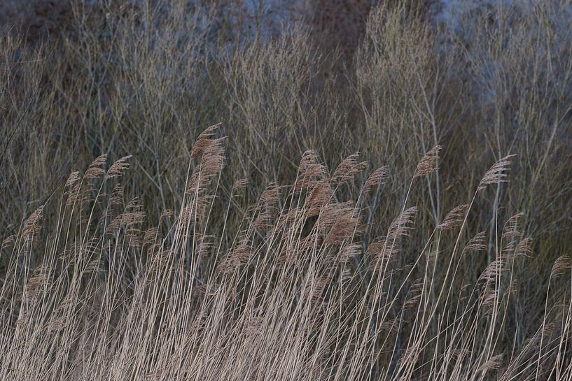 Winter by Mario Creanza