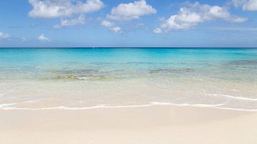 Strand van het eiland Curacao met helder blauw water van Guido van Veen