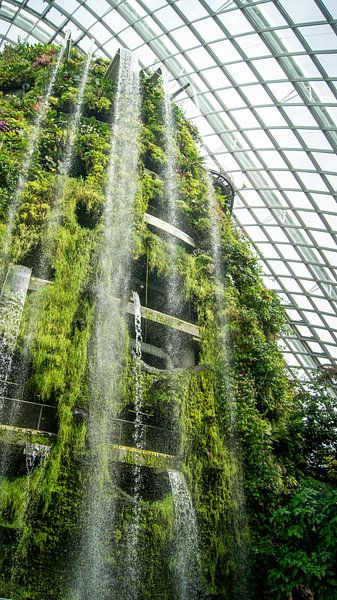 Cloud Forest - Singapore par Raymond Gerritsen