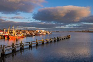 La dernière lumière tombe sur le port de Zoutkamp sur Bas Meelker