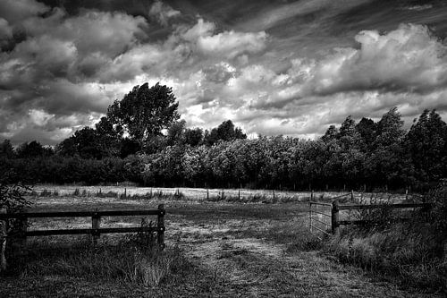 The open gate (B/W)