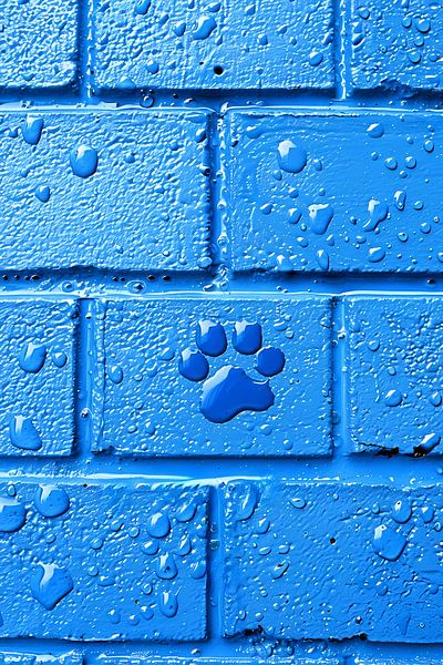 Blue Wall with Paw Print by Art & Soul Creations