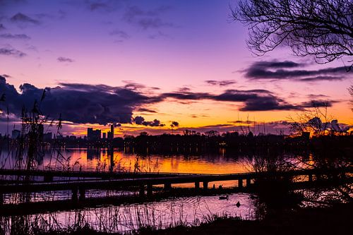 Like a Brave Summernight in Winter nr. 1