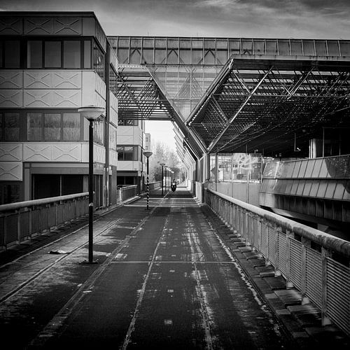 Almeerder licht op zondag