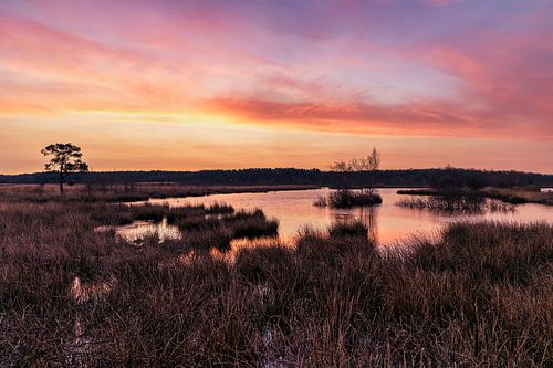 Zonsopkomst op Kraloo