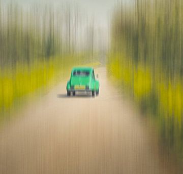 The Lonely Tree by Di Maio Fotografie