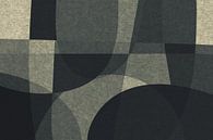 Abstrakte organische Formen und Linien. Geometrische Kunst im Retro-Stil in Grau IX von Dina Dankers Miniaturansicht