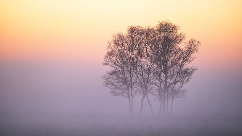 Misty moods... by Bram de Jong