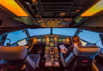 Cockpit work by Denis Feiner