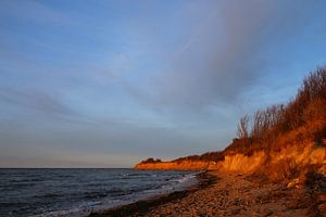 Soleil du soir d'hiver