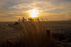 zonsopkomst in de winter