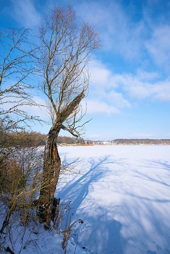 Lac un jour d'hiver