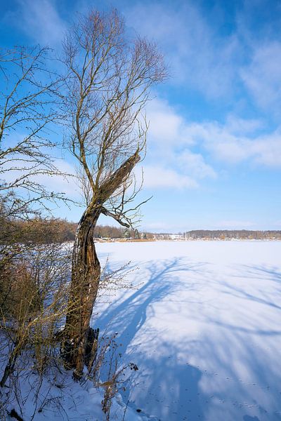 Lake on a winter day by Heiko Kueverling