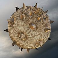 Fractal