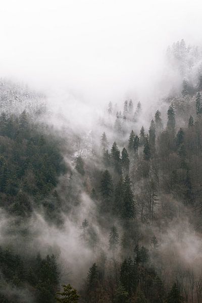 Dans les bras de la brume par Marika Huisman fotografie