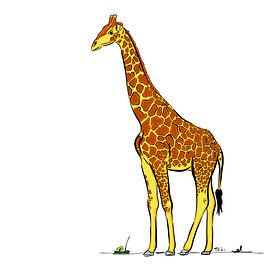 Farbe Giraffe von Teun Poppelaars