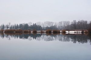 Serenity