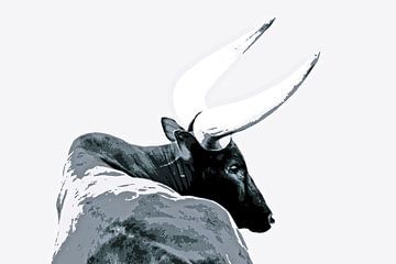 one Ankole cow mixed media by Werner Lehmann