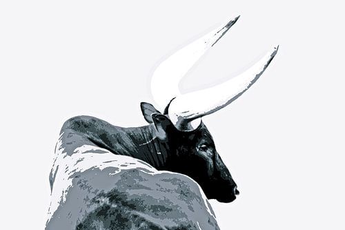 one Ankole cow mixed media