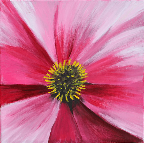 Explosion rose